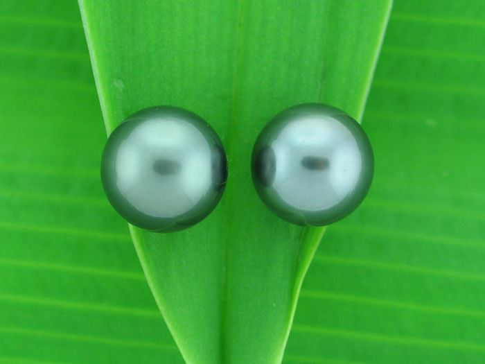 Salt Water Cultured Tahitian Pearl Earrings 1