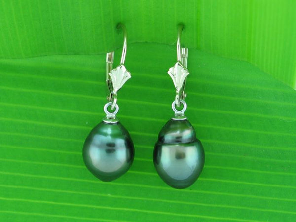 Salt Water Cultured Tahitian Pearl Earrings 2